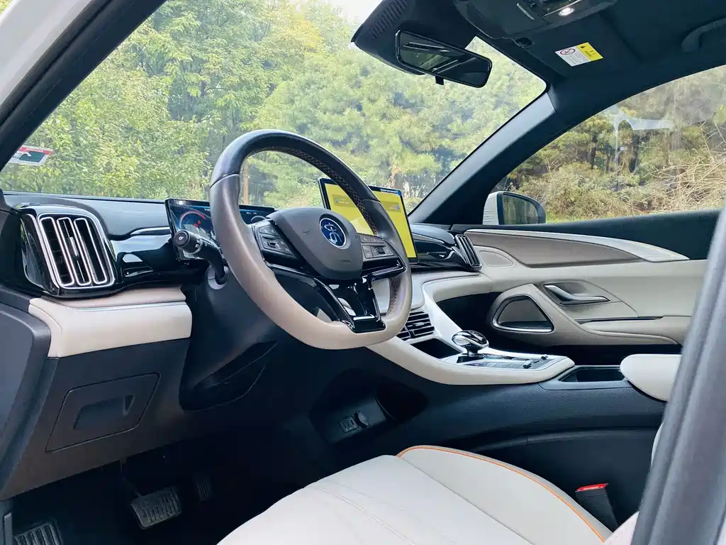BYD Pro New Energy — миниатюра 9