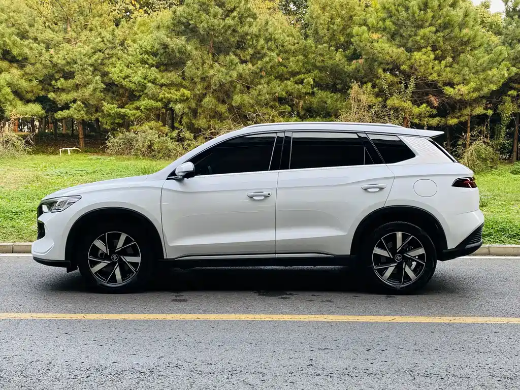 BYD Pro New Energy — миниатюра 14