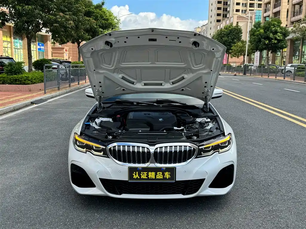 BMW 3 Series 3 2020 325Li M Sport