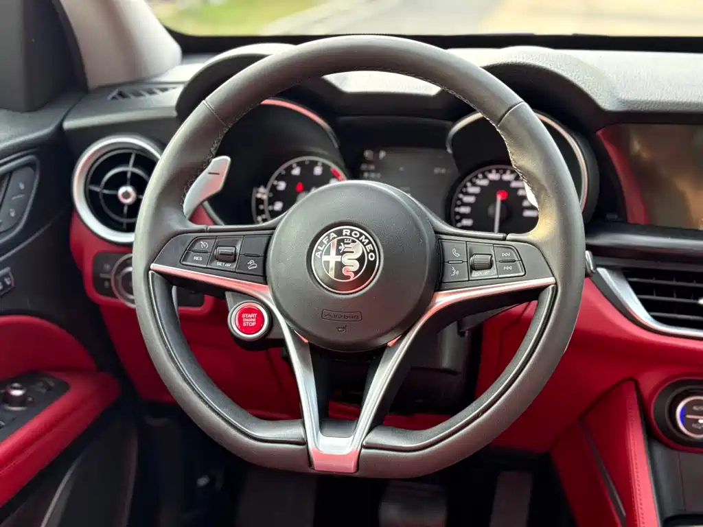 Alfa Romeo Stelvio 2.0T 200HP Luxury Edition, фото 19