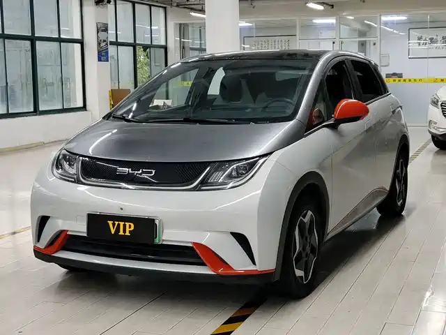 2022 BYD Dolphin