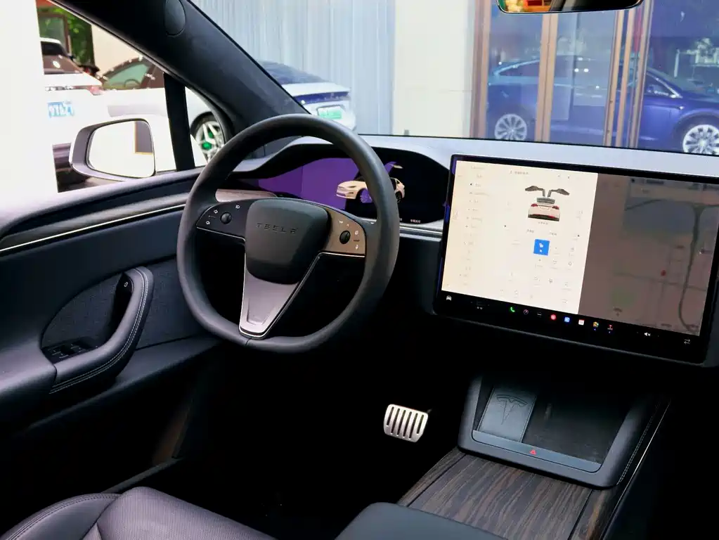 Tesla Model X — миниатюра 10