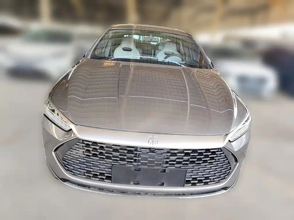 BYD Qin Plus PLUS 2023 Champion DM-i 55KM Lead