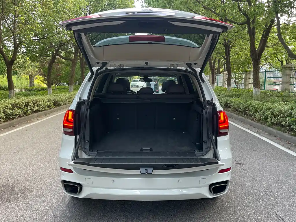 BMW X5 (Import) xDrive35i Leading Type, фото 10