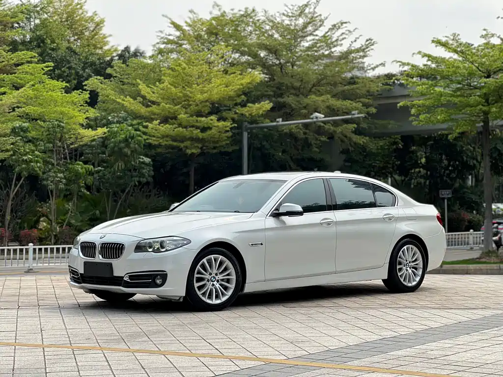 BMW 5 Series 2015