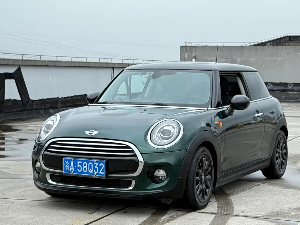 Mini Mini 2015