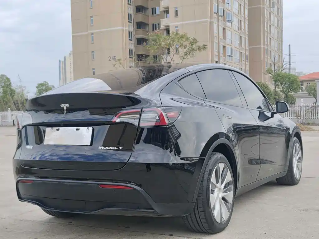Tesla Model Y — миниатюра 4