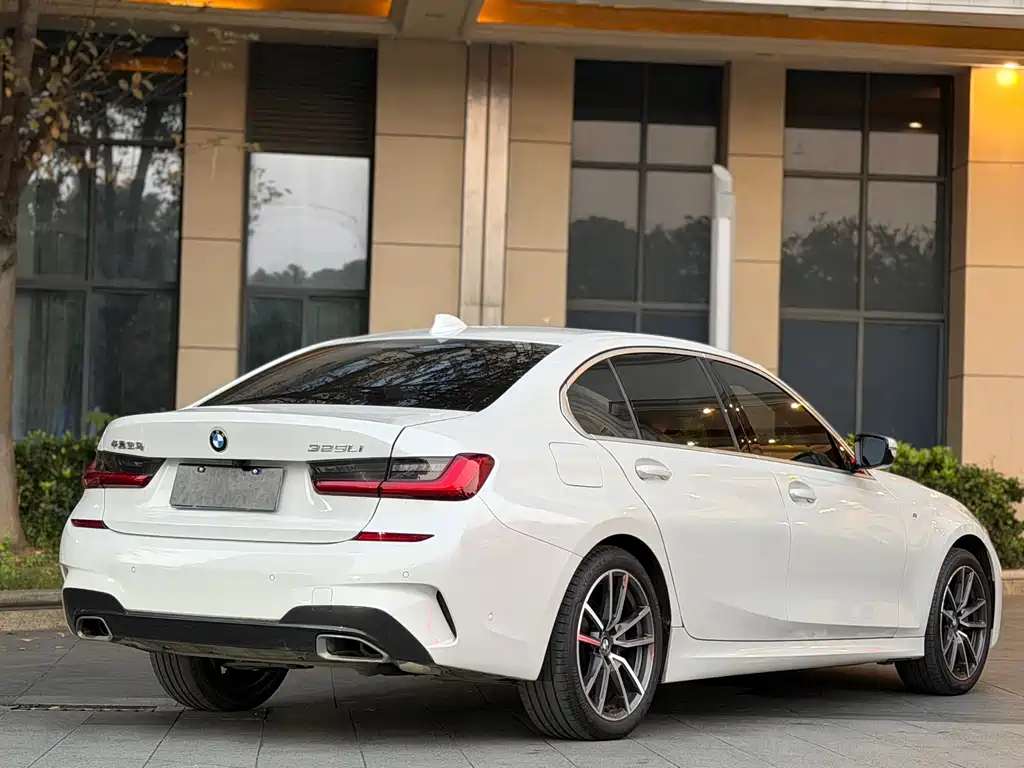 BMW 3 Series 3 2020 325Li