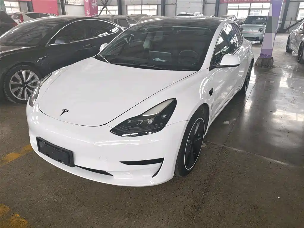 Tesla Model 3 2021
