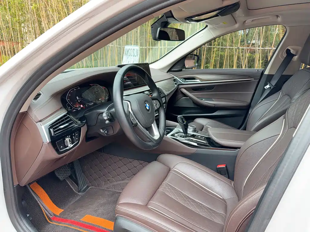 BMW 5 Series 5 2022 530Li Premium Luxury