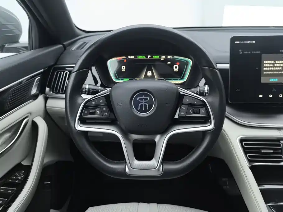 BYD PLUS New Energy — миниатюра 15
