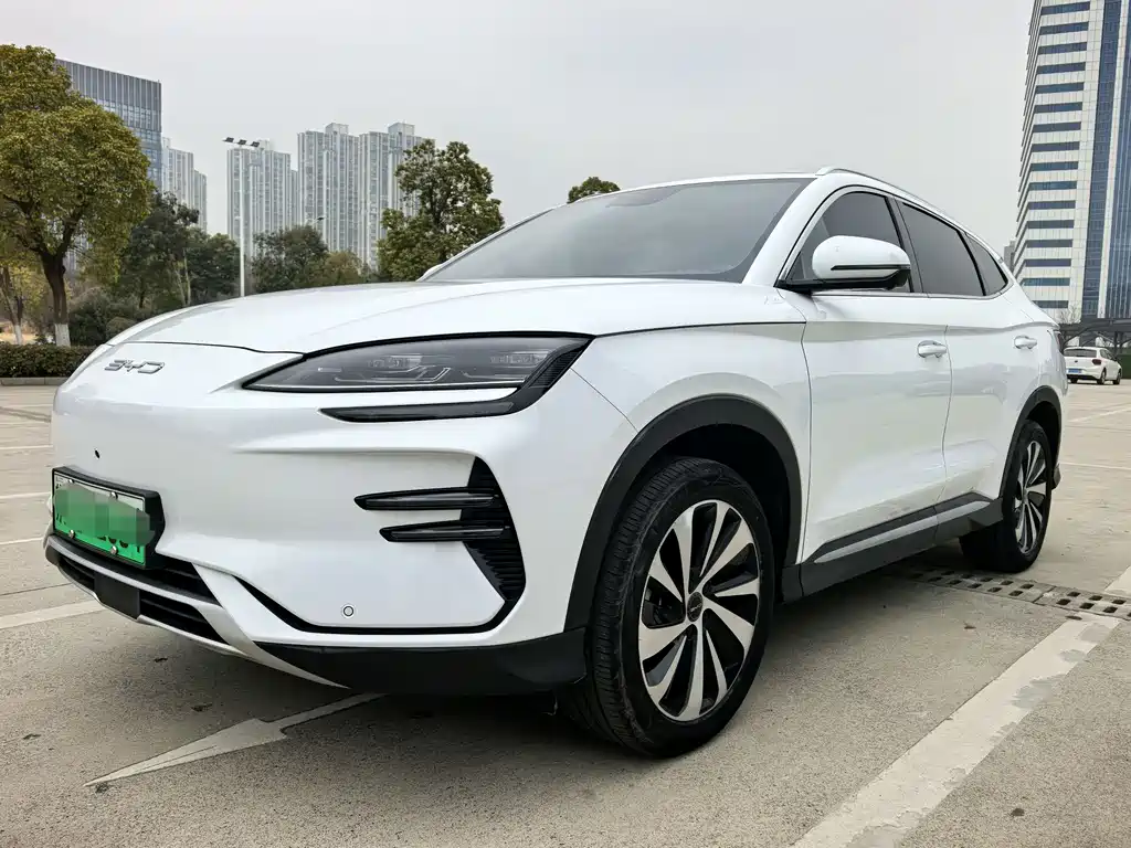 BYD SONGJIANG NEW ENERGY