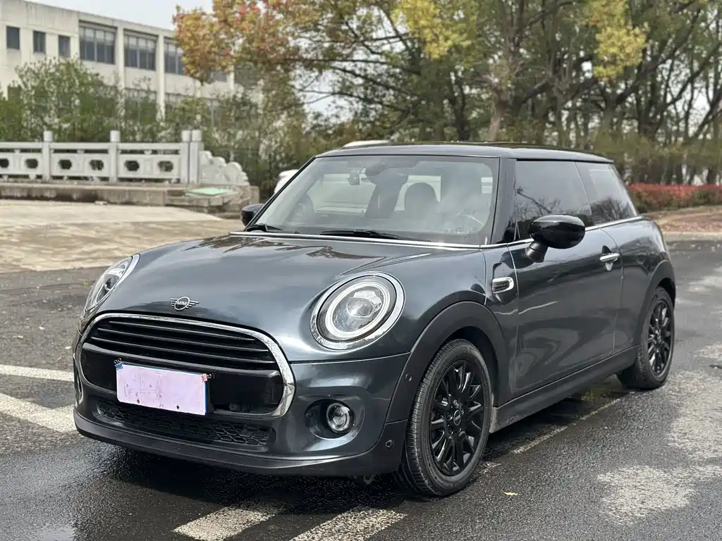 Mini Mini 2020