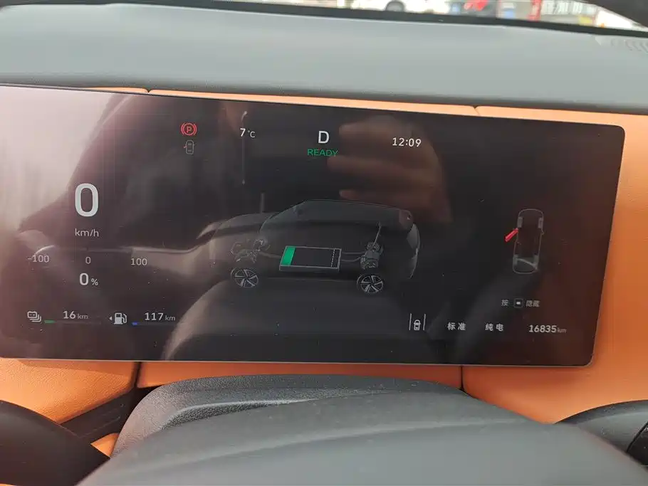 WEI PAI WEI BRAND BLUE MOUNTAIN