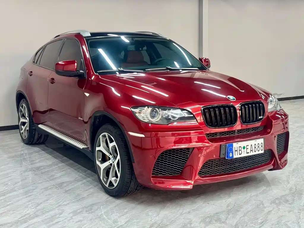 BMW X6 — миниатюра 3