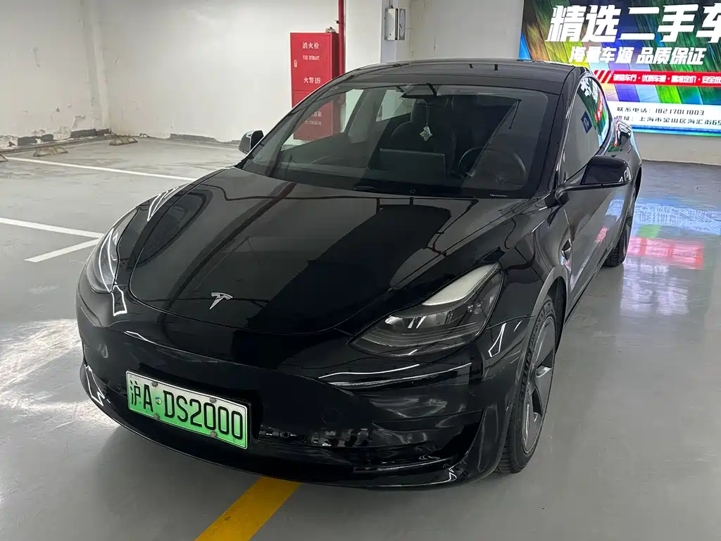 Tesla Model 3 2021