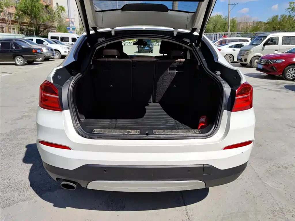 BMW X4 xDrive20i X Design Package, фото 19