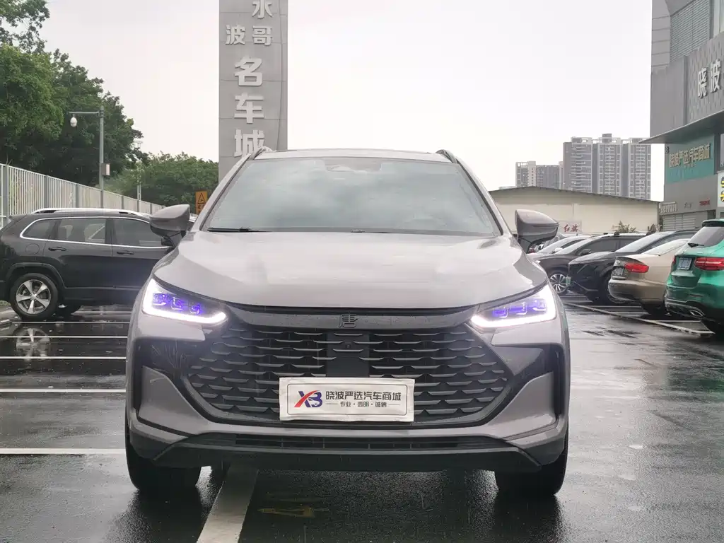 BYD Tang New Energy — миниатюра 2