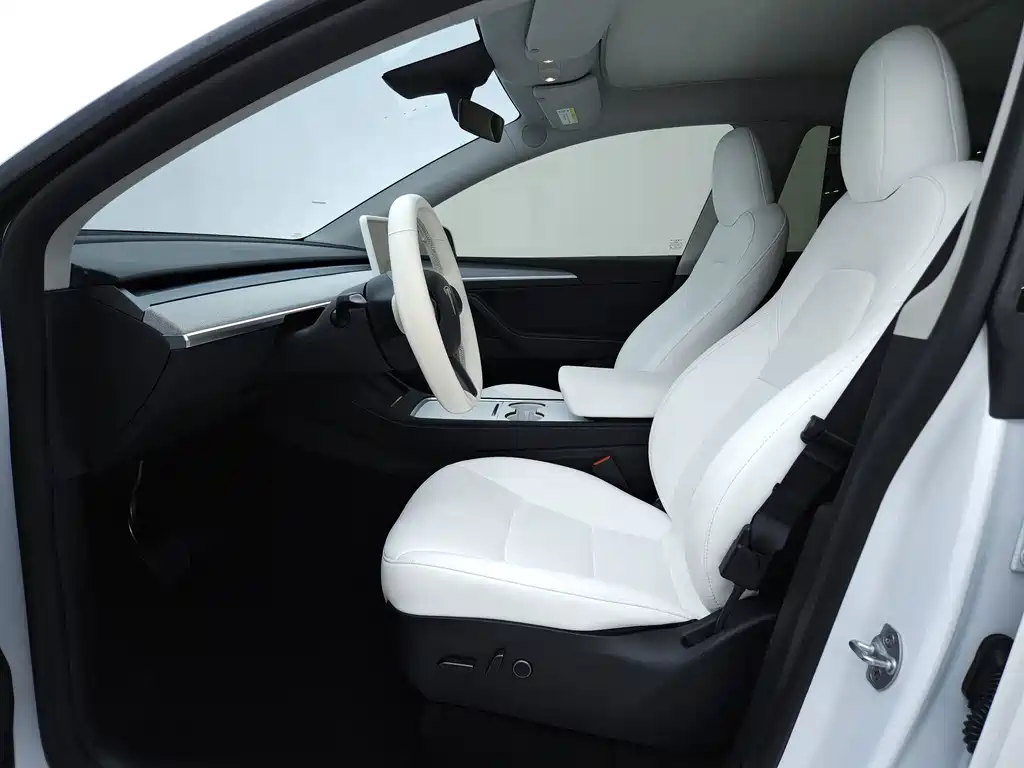 Tesla Model Y — миниатюра 8