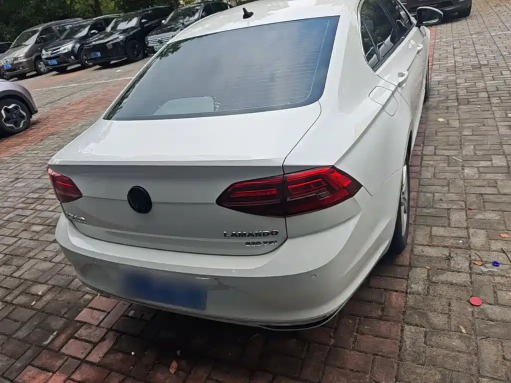 Volkswagen Lamando — миниатюра 6