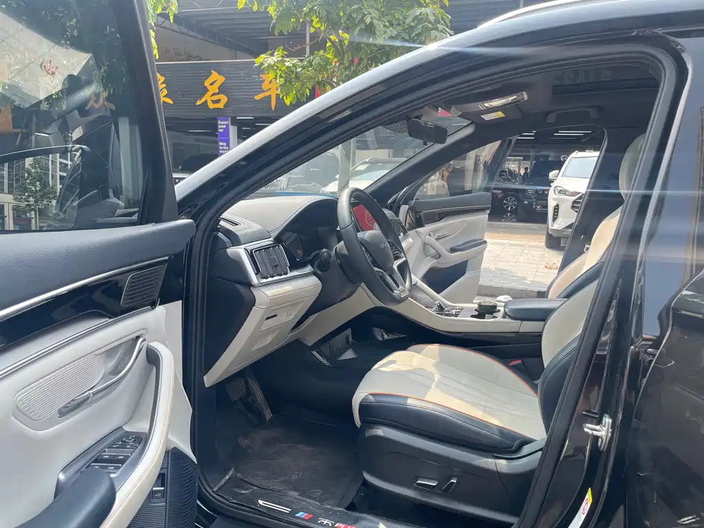 BYD PLUS New Energy — миниатюра 8