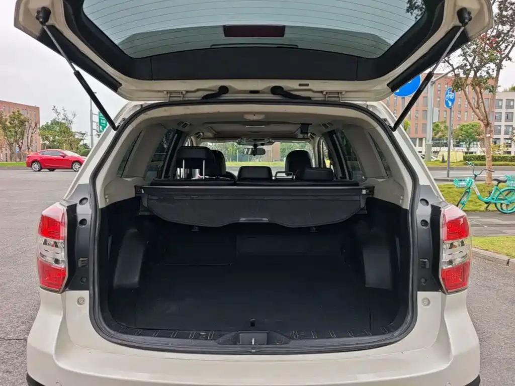 Subaru Forester — миниатюра 19