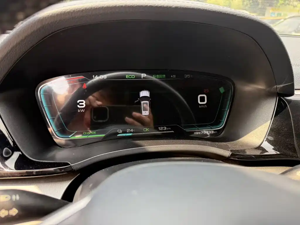 BYD PLUS New Energy — миниатюра 10