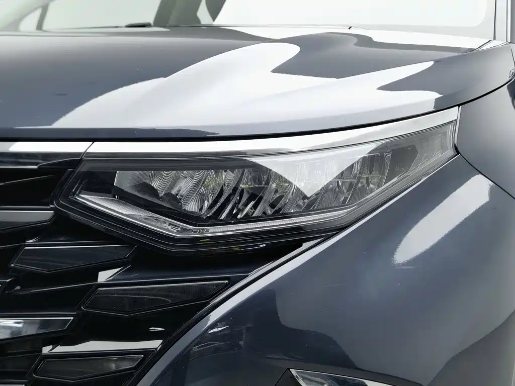 Hyundai Custo — миниатюра 7