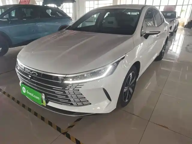 2024 BYD Destroyer