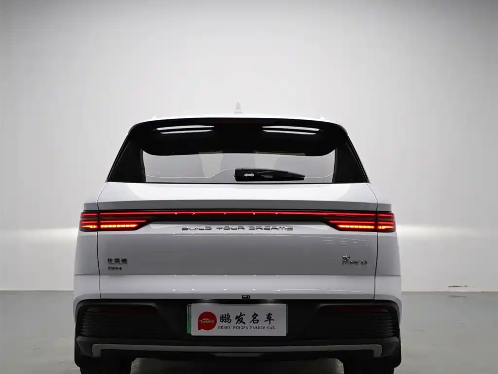 BYD Pro New Energy - фото 16