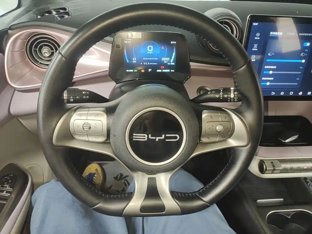 BYD Dolphin — миниатюра 11