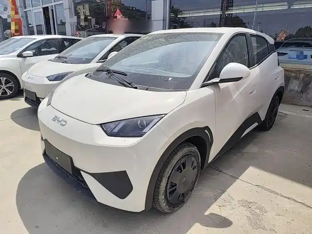 2026 BYD Seagull