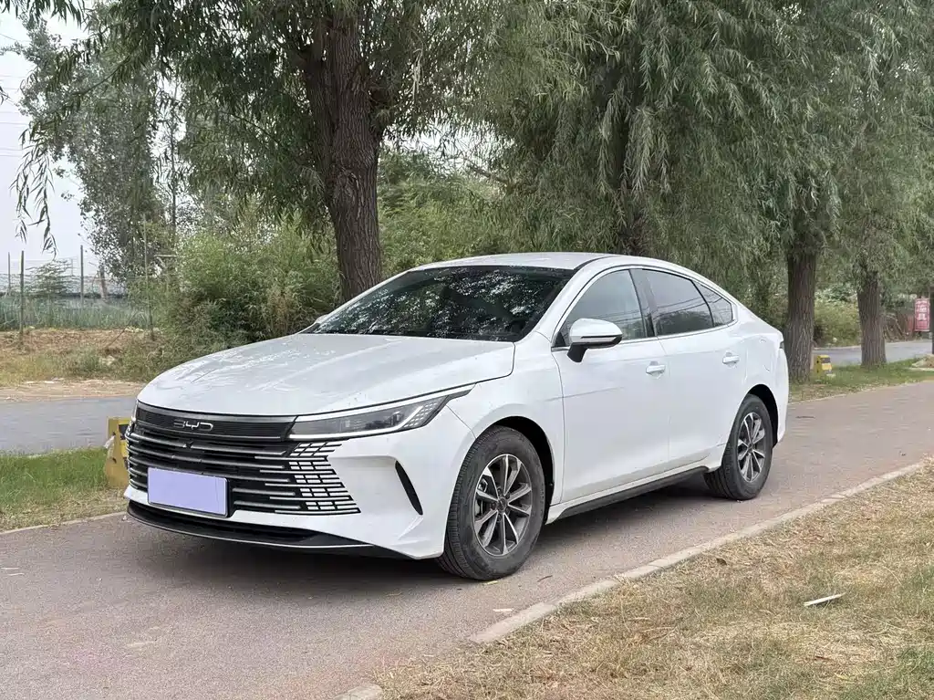 BYD Destroyer 05