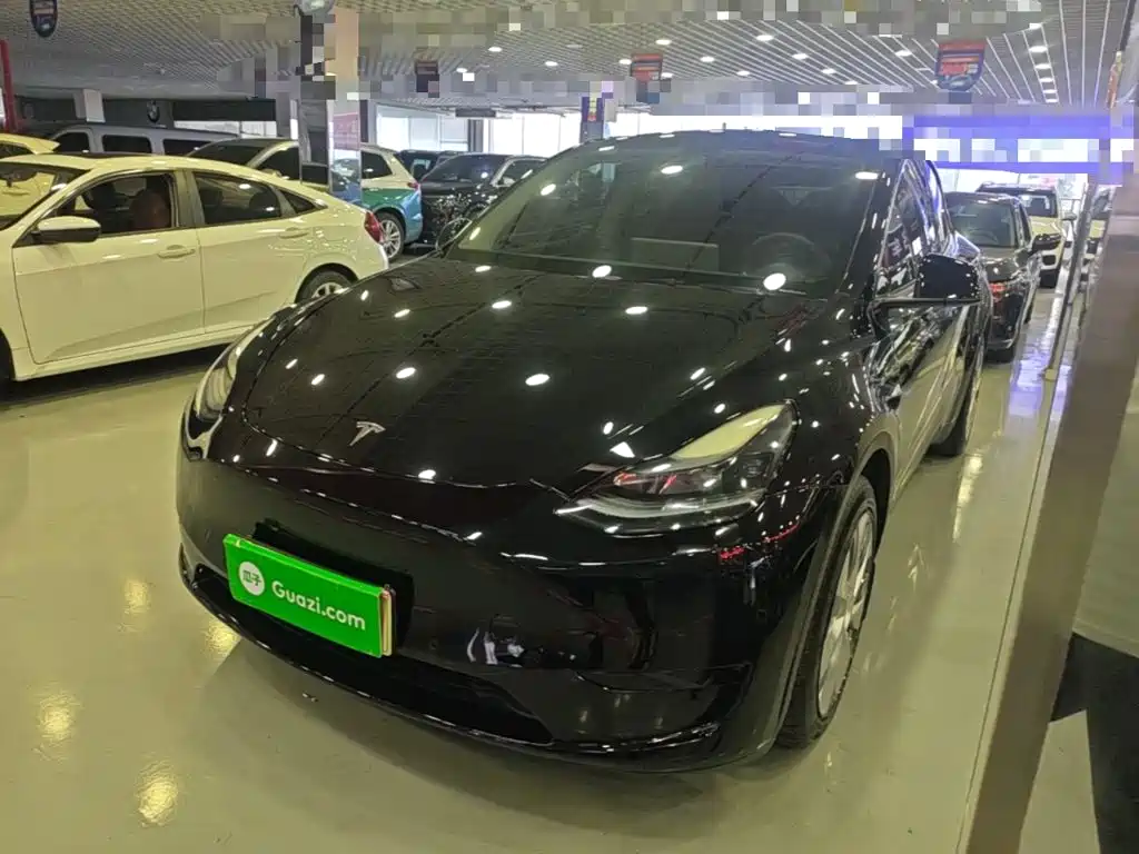 Tesla Model Y — миниатюра 2