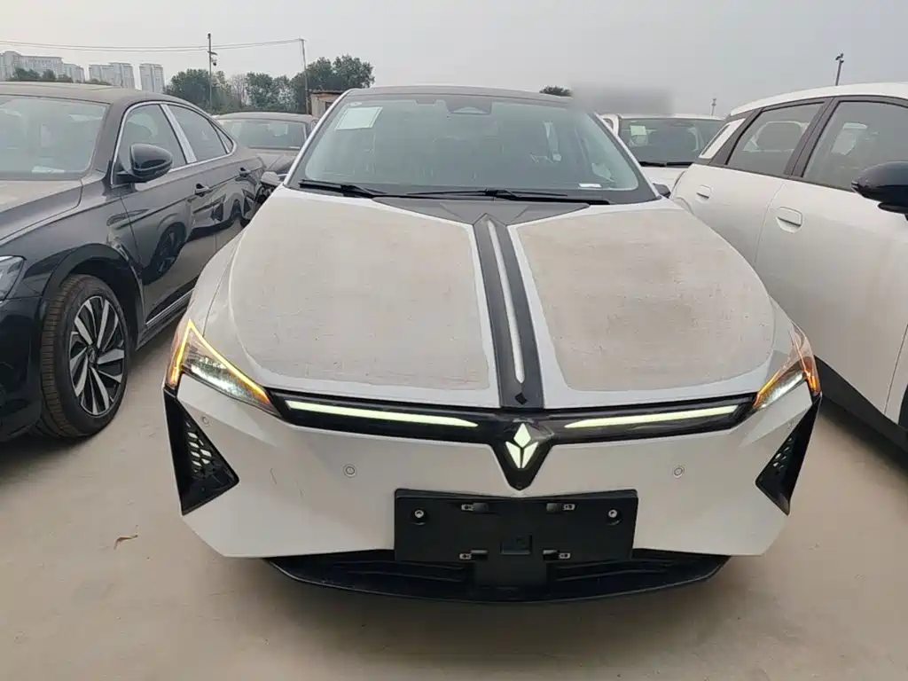 Lingxi Lingxi L — миниатюра 3