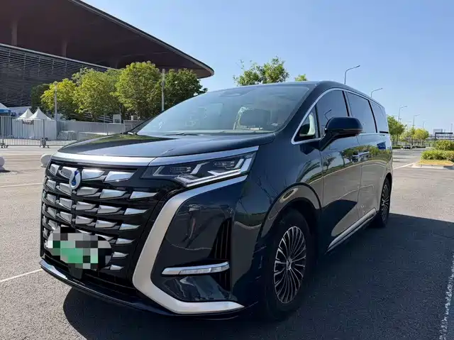 2024 Denza D9