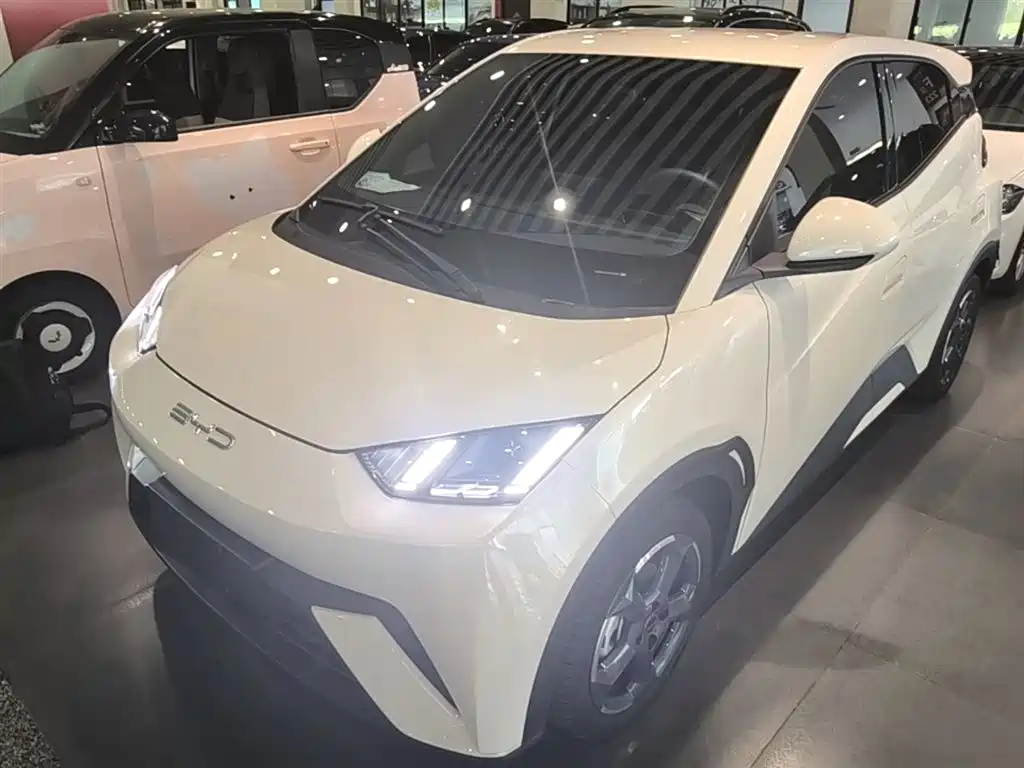 Byd Seagull 2023