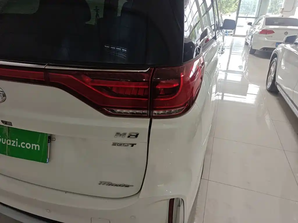 GAC Motor Trumpchi M8 — миниатюра 8