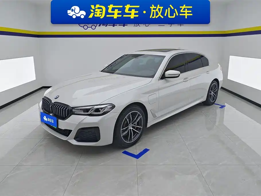 BMW 5 Series New Energy 2021