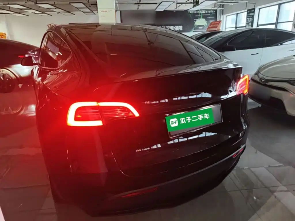 Tesla Model Y — миниатюра 5