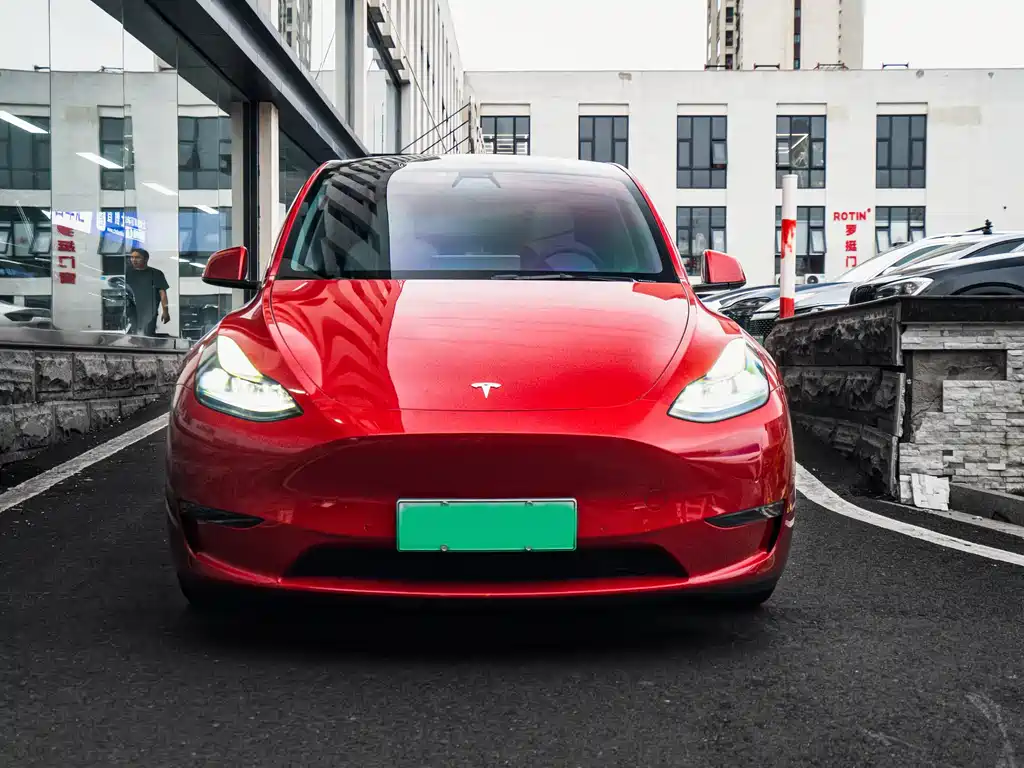 Tesla Model Y — миниатюра 2