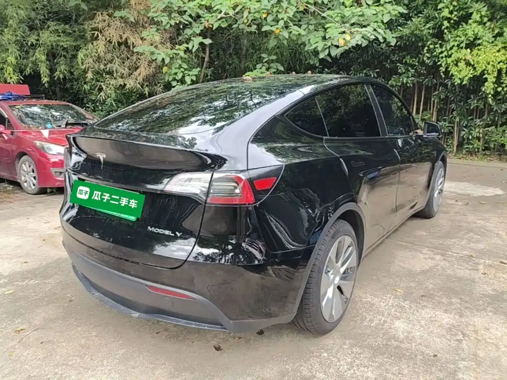 Tesla Model Y — миниатюра 7