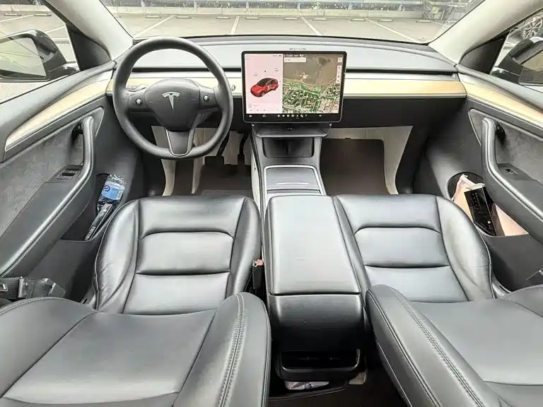 Tesla Model Y — миниатюра 10