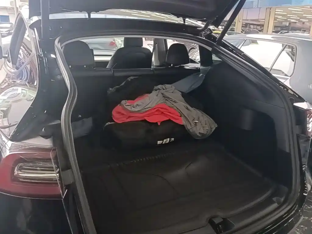 Tesla Model Y — миниатюра 19