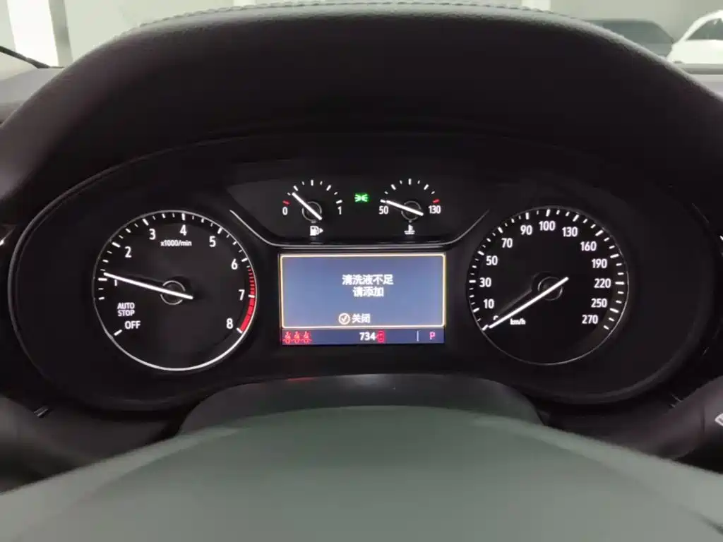 Buick Regal — миниатюра 12
