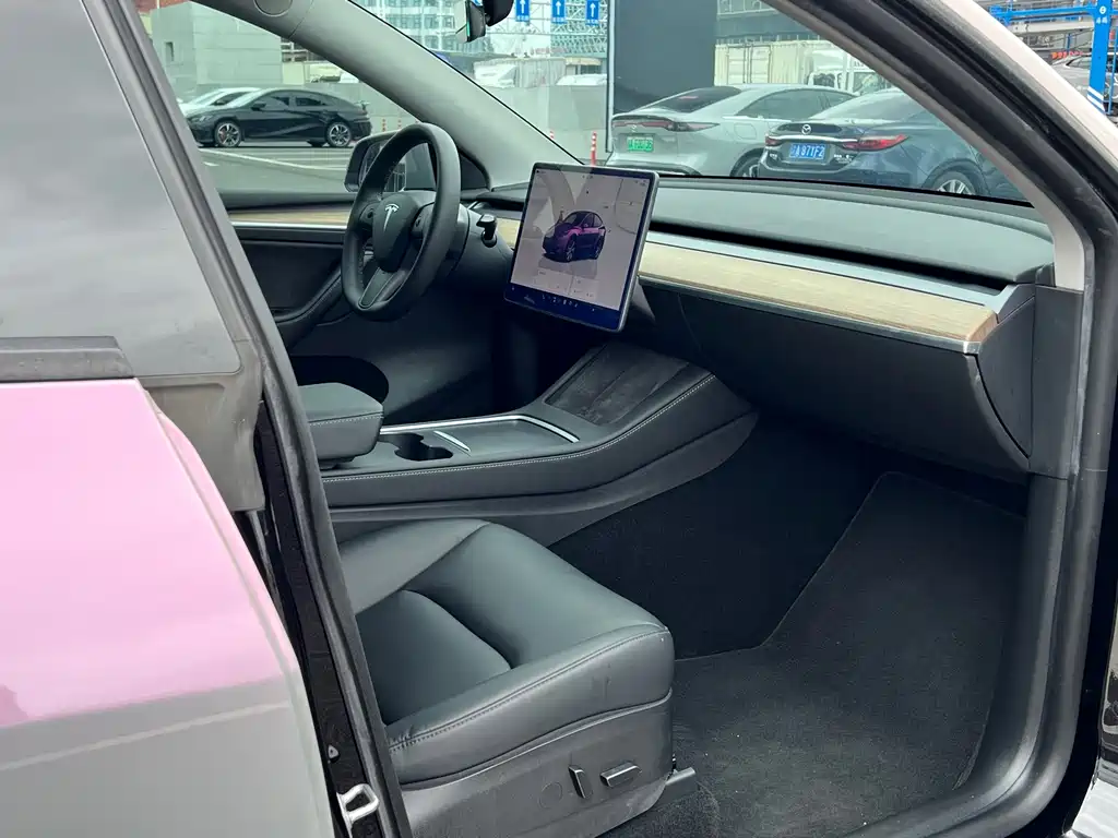 Tesla Model Y — миниатюра 11