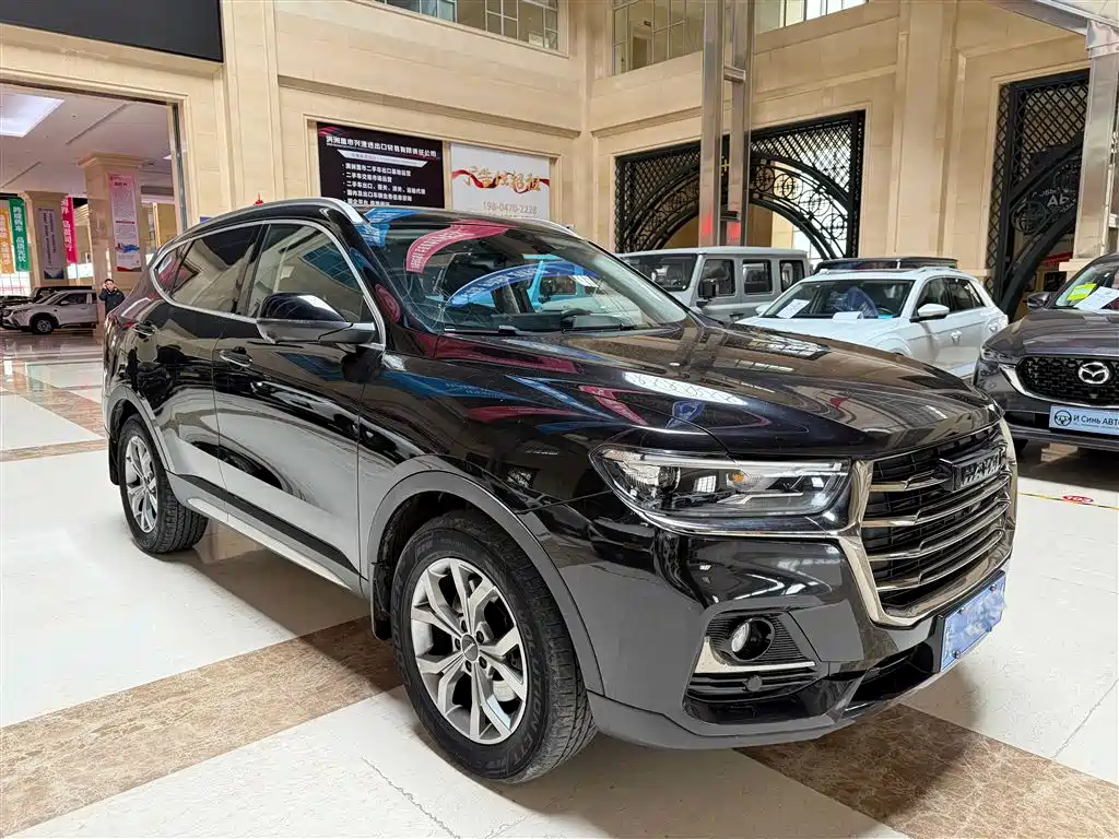 Haval H6 — миниатюра 2
