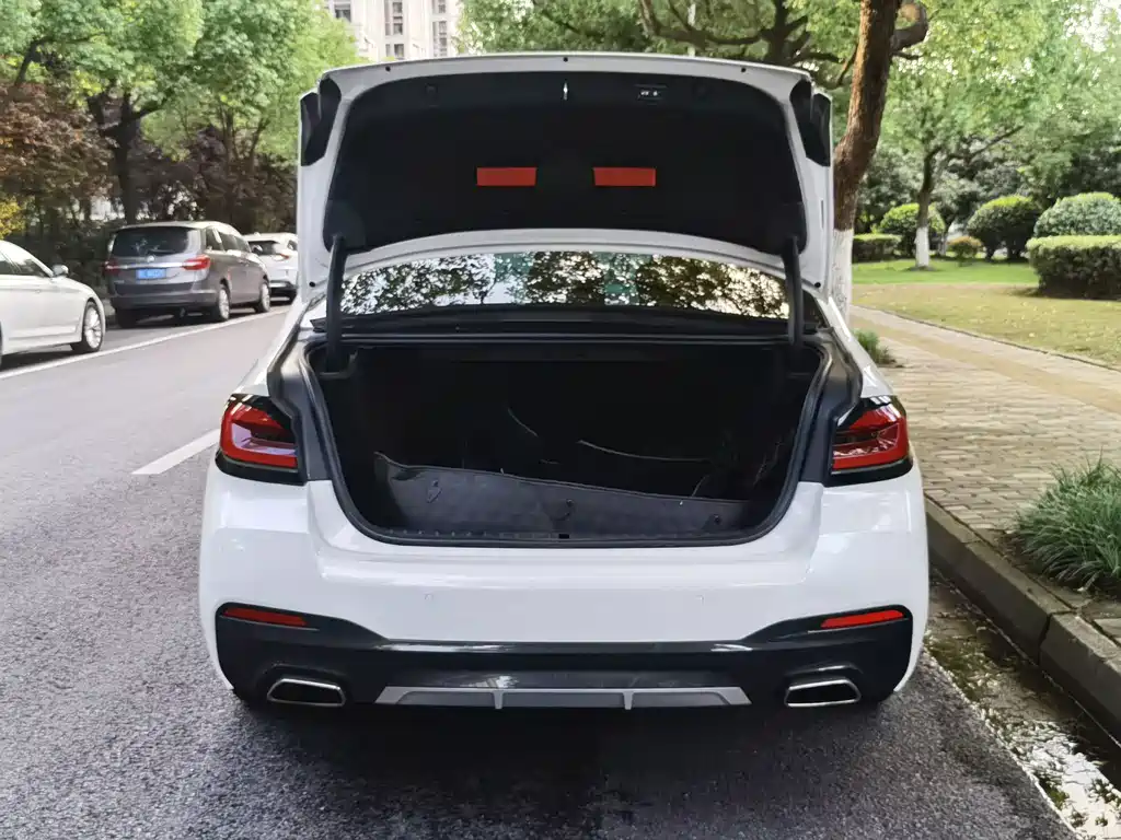 BMW 5 Series — миниатюра 12