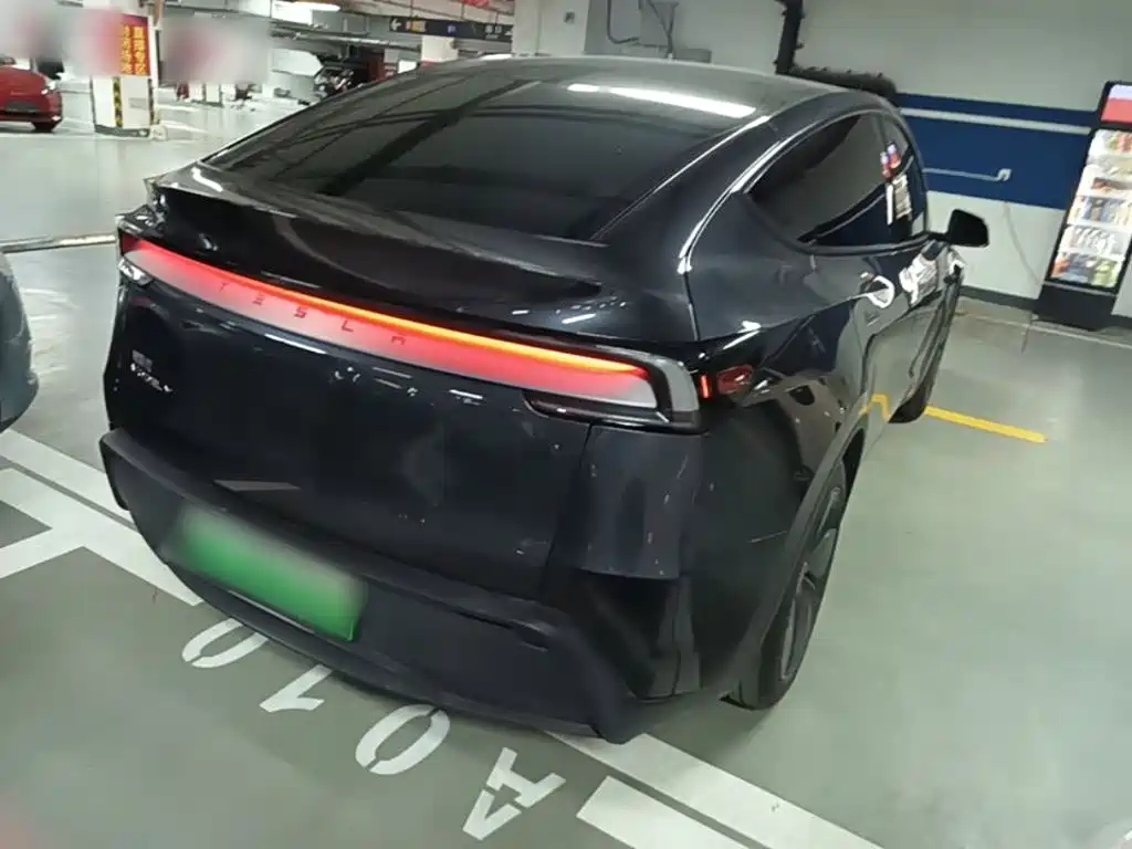 Tesla Model Y — миниатюра 7