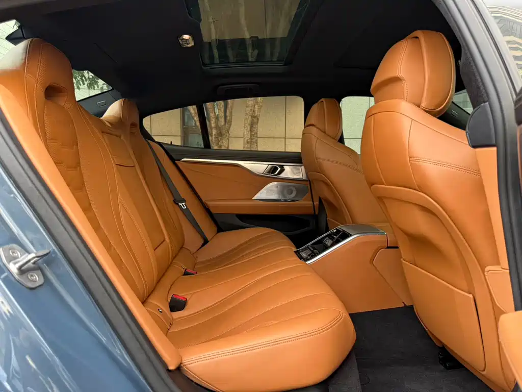 BMW 8 Series — миниатюра 11